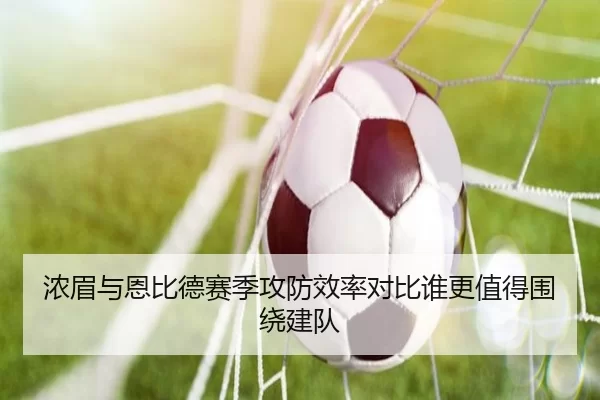 浓眉与恩比德赛季攻防效率对比谁更值得围绕建队